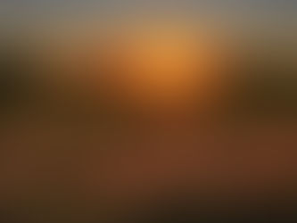 Charismatic Crisis & Chaos